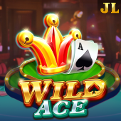 Wild Ace PGOT hot game